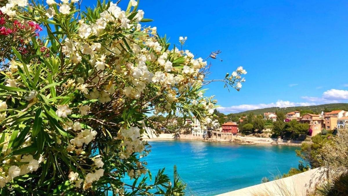 Superbe Appartement En Bord De Mer Bandol Eksteriør billede