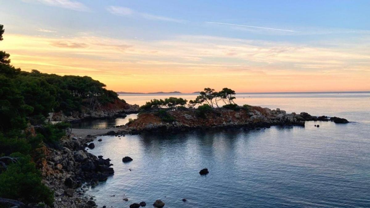 Superbe Appartement En Bord De Mer Bandol Eksteriør billede
