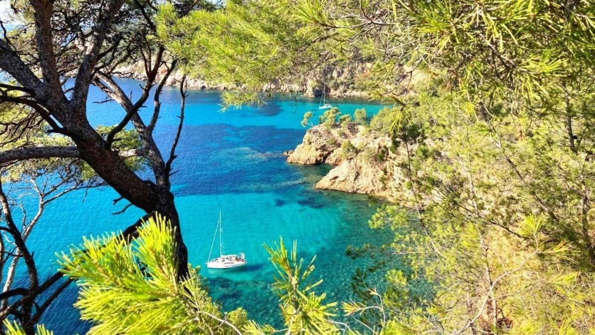 Superbe Appartement En Bord De Mer Bandol Eksteriør billede